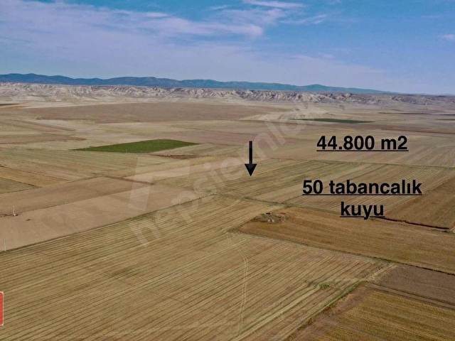 Öztekin den çerkez çukurhisar da 44.800 m2 suluk tarla - Görsel 13