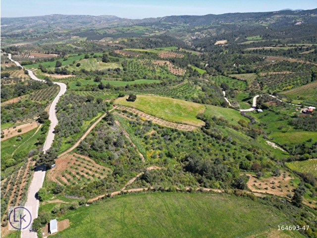ÇANAKKALE MERKEZ ELMACIK KÖYÜ ZEYTİNLİK - Görsel 9