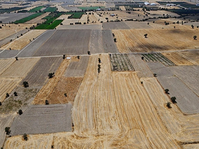 Bucak Ürkütlüde Yerleşime Yakın 5.225 m2 Müstakil Tarla - Görsel 16
