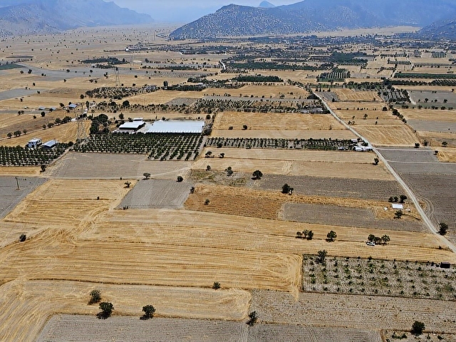 Bucak Ürkütlüde Yerleşime Yakın 5.225 m2 Müstakil Tarla - Görsel 2