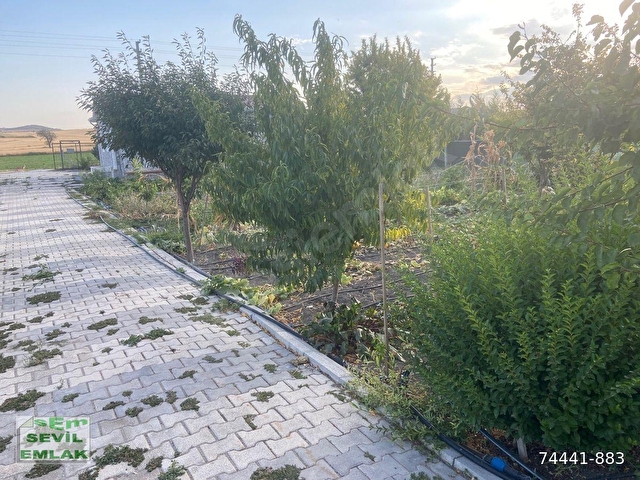 Satılmışoğlu Mahallesi 2 adet hobi evi - Görsel 5