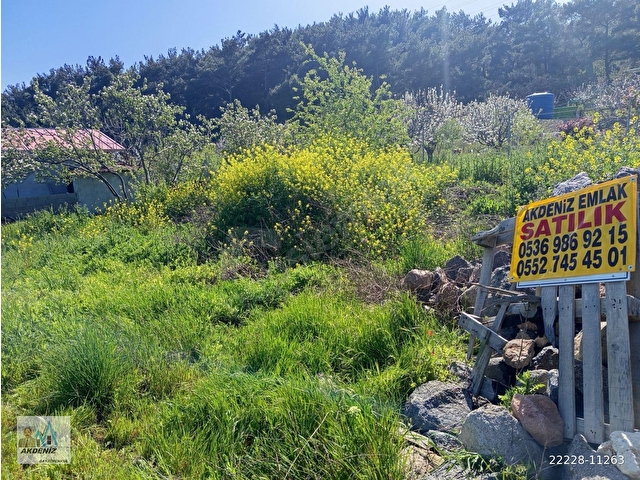 Akdeniz Emlaktan Satılık İzmir Bornova Yaka Köy Mah 500 m² - Görsel 11