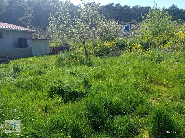 Akdeniz Emlaktan Satılık İzmir Bornova Yaka Köy Mah 500 m² - Görsel 23