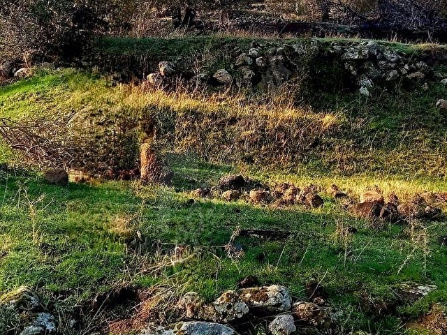 Dikili Merdivenlide Deniz Manzaralı Satılık Zeytinli Tarla - Görsel 14