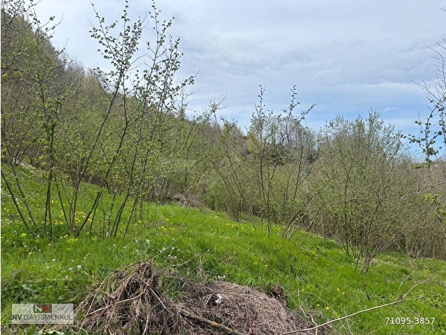 BOĞAZİÇİ    DOKUZPINAR MAHALLESİNDE 1478 M2 SATILIK TİCARİ İMARLI ARSA - Görsel 18