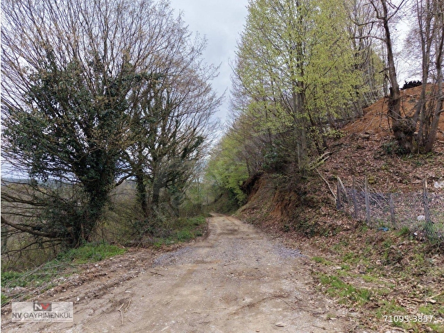 BOĞAZİÇİ    DOKUZPINAR MAHALLESİNDE 1478 M2 SATILIK TİCARİ İMARLI ARSA - Görsel 14