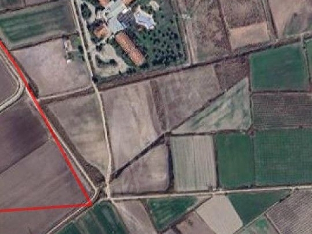 Pamukkale Tarla - Görsel 3