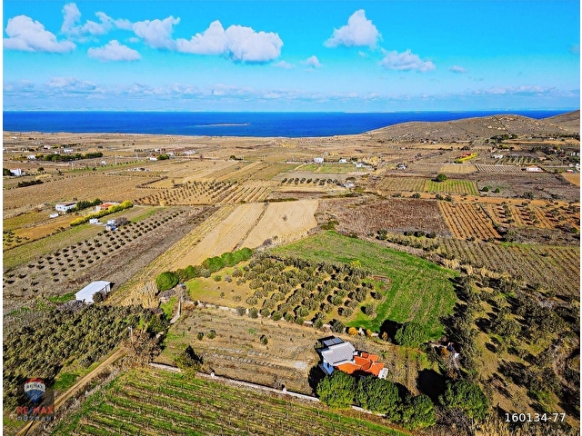 Çanakkale Bozcaada Çayır Mevkii Satılık 1.450 m2 Tarla - Görsel 3