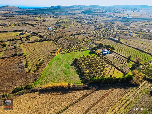 Çanakkale Bozcaada Çayır Mevkii Satılık 1.450 m2 Tarla - Görsel 6