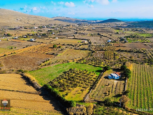 Çanakkale Bozcaada Çayır Mevkii Satılık 1.450 m2 Tarla - Görsel 7