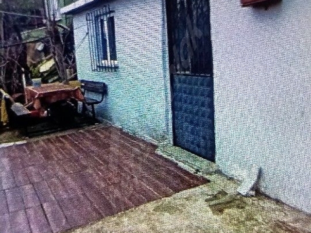 kiralık daire