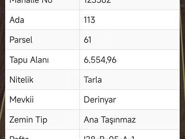 KAYA EMLAK DAN KAYI KÖYÜNDE YATIRIMLIK TARLA - Görsel 5