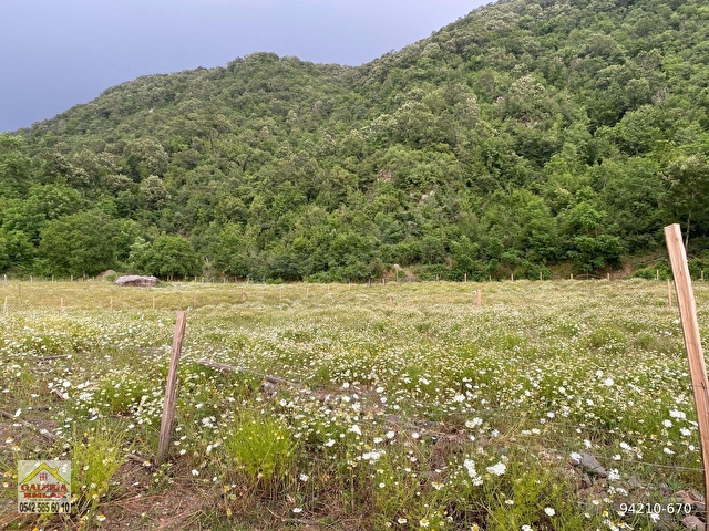 DÜZİÇİNDE DÜZ MANZARALI İMARLI SULAMA SUYU OLAN UYGUN ARSA - Görsel 4
