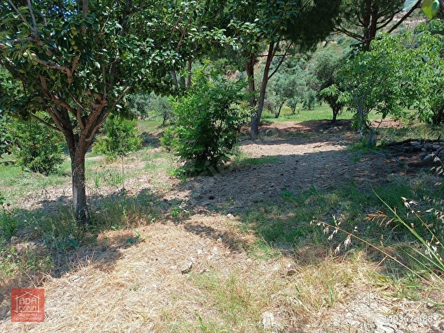 Söke de imara yakın geniş yatırımlık arazi - Görsel 12