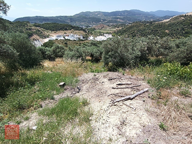 Söke de imara yakın geniş yatırımlık arazi - Görsel 16