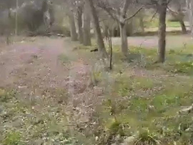 BOLU GÖYNÜK ÖRENCİKTE SATILIK BAHÇE - Görsel 8