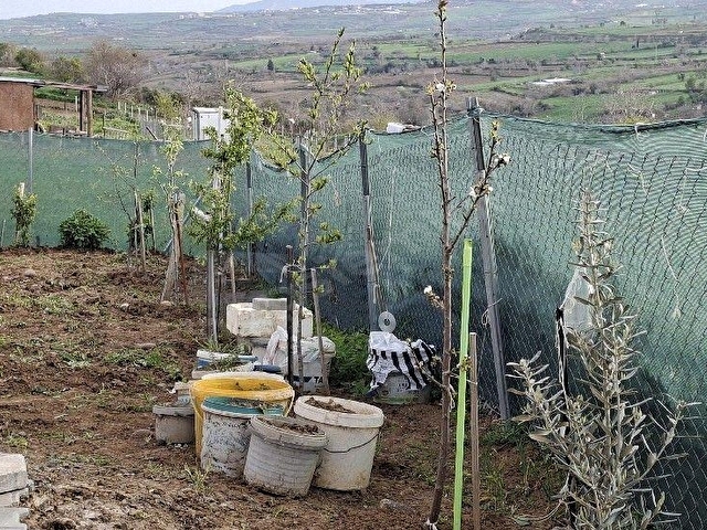 TEKİRDAĞ SÜLEYMANPAŞA KARADENİZ MAHALLESİ SATILIK ARSA HOBİ BAHÇESİ 3 KAT İMARLI %50 İMAR - Görsel 26