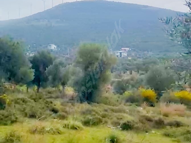 Didim Akyeniköyde Satılık Villa İmarlı Arsa Projesi Hazır! - Görsel 5