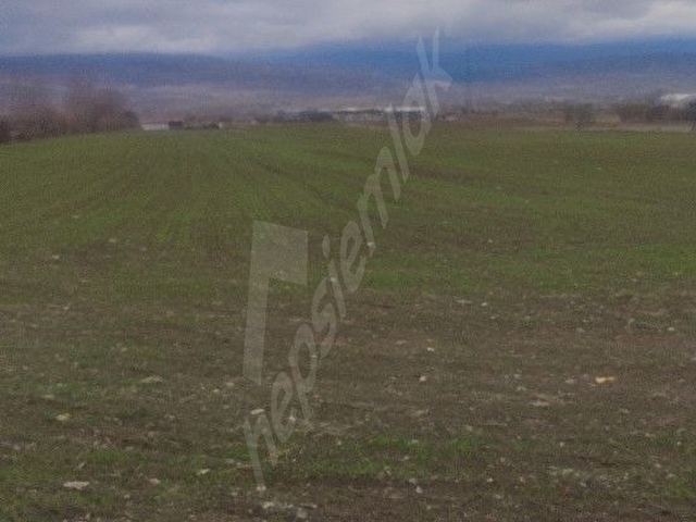 Zile Turhal Yolu üzerinde Tapulu ana yola yakın iki cephesi yol yatırımlık kaçırılmayacak fırsat - Görsel 6