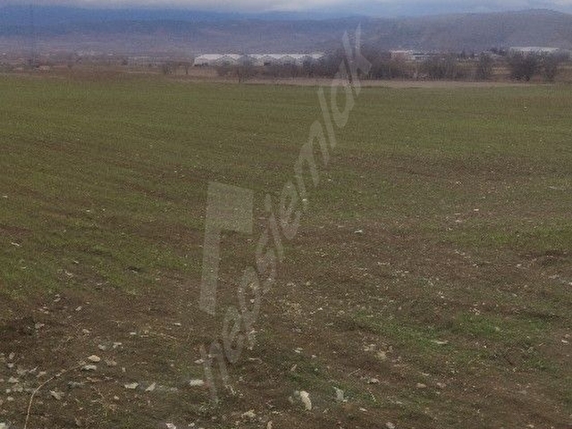 Zile Turhal Yolu üzerinde Tapulu ana yola yakın iki cephesi yol yatırımlık kaçırılmayacak fırsat - Görsel 10