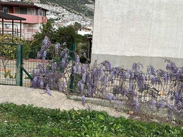 AKBÜKTE DENİZE YÜRÜME MESAFESİNDE YATIRIM FIRSATI! - Görsel 20