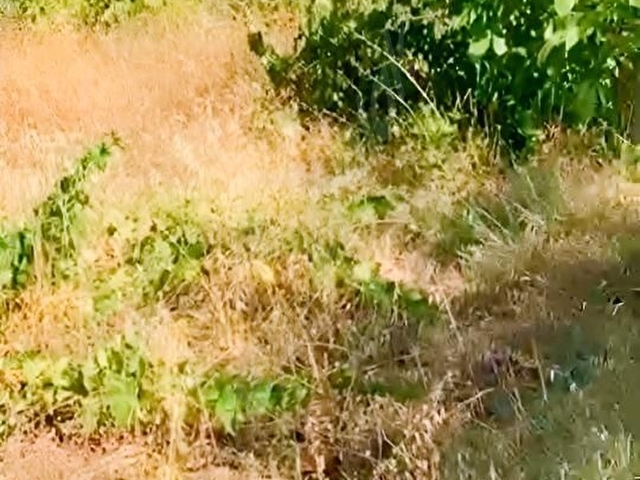 YETİŞ AL DAN SAVAŞTEPE DE 415 M2 SATILIK 2 KAT KONUT İMARLI ARSA - Görsel 6