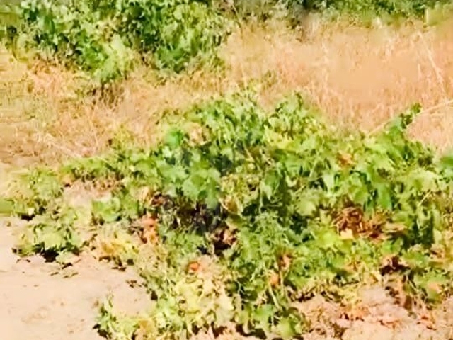 YETİŞ AL DAN SAVAŞTEPE DE 415 M2 SATILIK 2 KAT KONUT İMARLI ARSA - Görsel 8