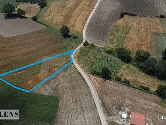 SAKARYA KAYNARCADA YOLA CEPHE YERLEŞİME YAKIN - Görsel 8