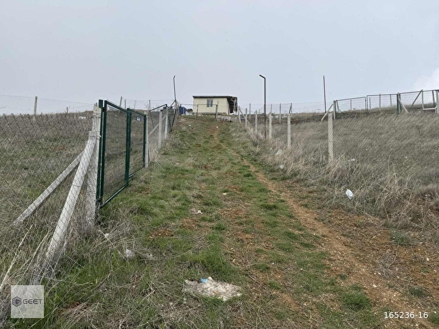 ANKARA AKYURT 500 METRE KARE BAHÇE ACİL SATILIK - Görsel 7