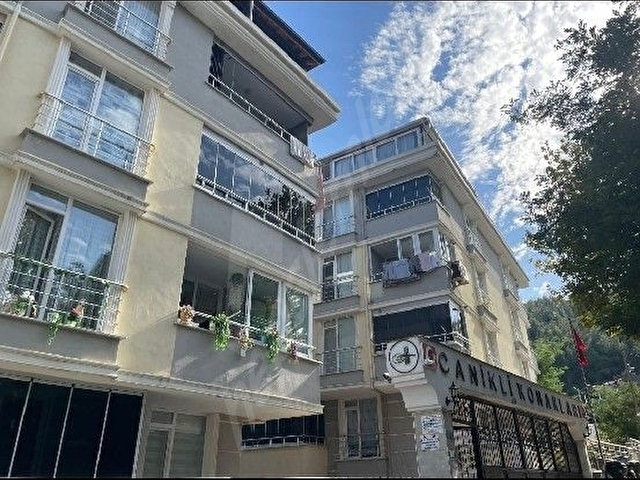 Tekirdağ Süleymanpaşa kumbağ - Görsel 2