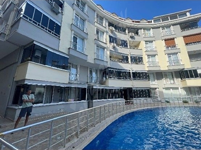 Tekirdağ Süleymanpaşa kumbağ - Görsel 5