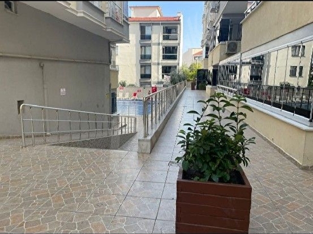 Tekirdağ Süleymanpaşa kumbağ - Görsel 6