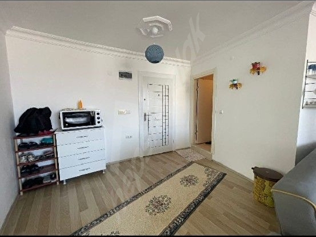 Tekirdağ Süleymanpaşa kumbağ - Görsel 12