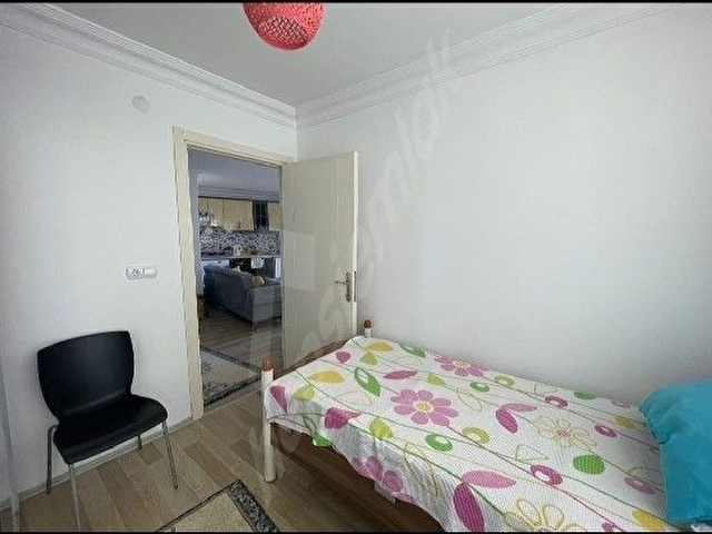 Tekirdağ Süleymanpaşa kumbağ - Görsel 19