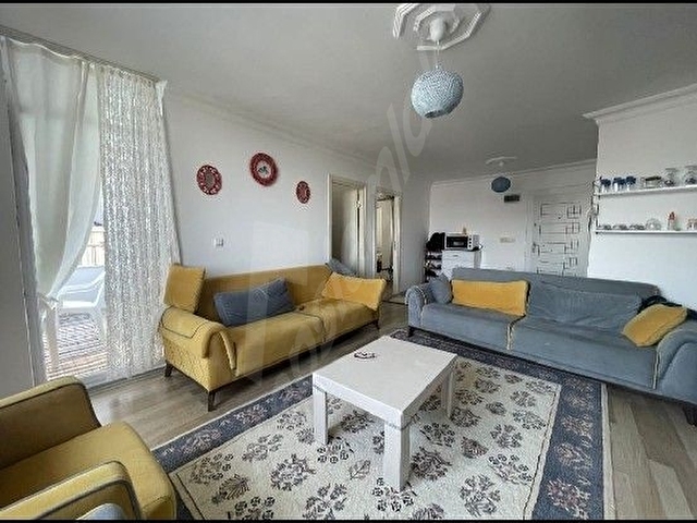 Tekirdağ Süleymanpaşa kumbağ - Görsel 27