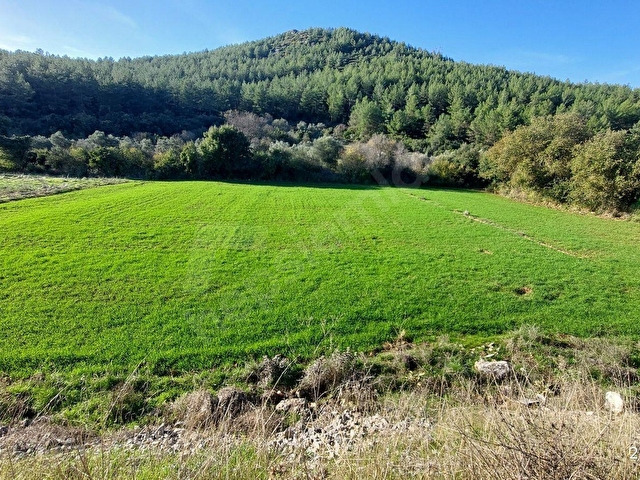 muğla ula köprübaşında  yatırıma uygun  664.m2 tarla