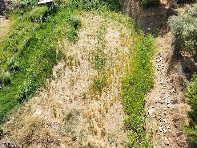NİRVANA GAYRİMENKULDEN KOÇARLI DEDEKÖYDE SATILIK BAHÇE - Görsel 7