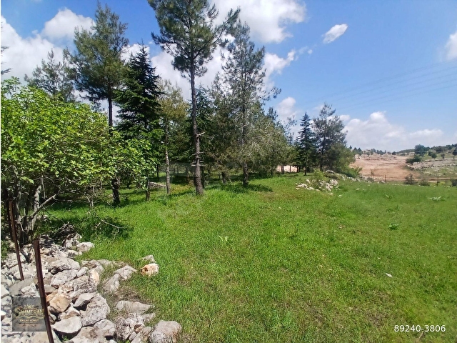 ÇAMLIYAYLA BELÇINAR MEVKİİ ANAYOLA SIFIR ARAZİMİZ SATILIKTIR
