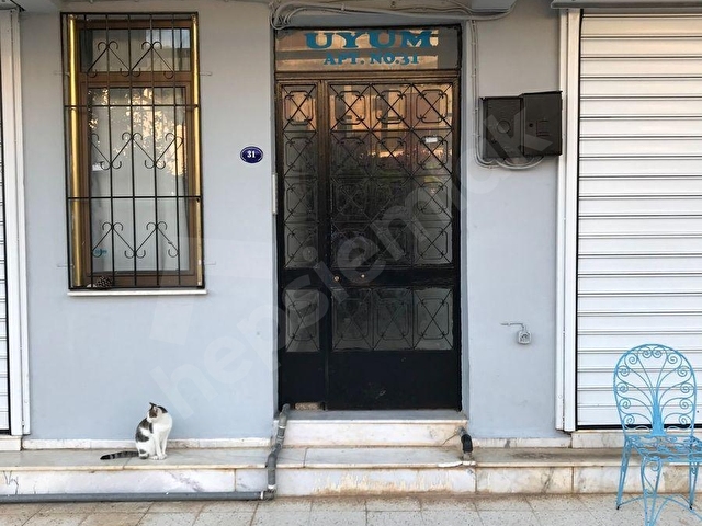 FİYATI DÜŞTÜ! FULL DENİZ & DOĞA MANZARALI İKİ AYRI DAİRE! - Görsel 8