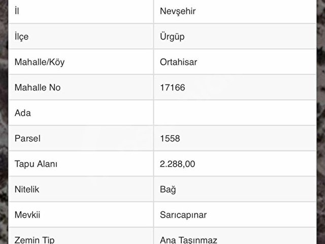 MAVİRA GAYRİMENKULDEN ORTAHİSARDA MANZARALI YATIRIMLIK BAĞ - Görsel 14
