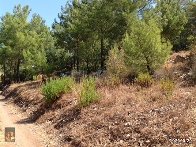 Antalya Kumluca Yazir Da Satilik 2 000 M2 Mustakil Tapulu Arazi 108565 20 Hurriyet Emlak