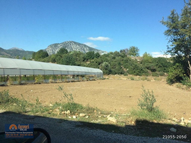 Antalya Aksu Kayadibin De 37 Donum Satilik Arazi 21055 2050 Hurriyet Emlak