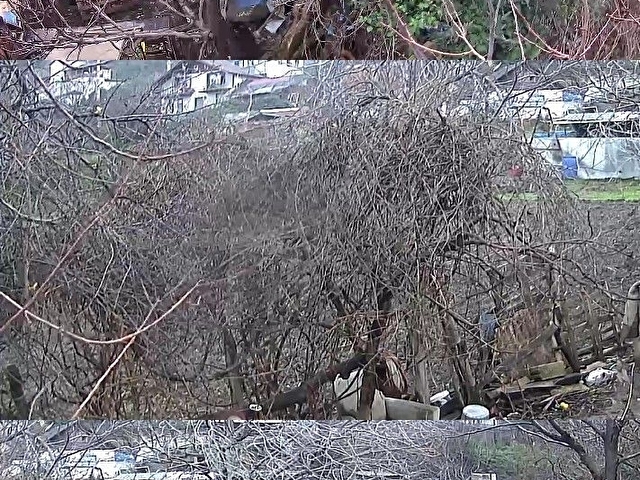 Gölcük Körfez Kiralık