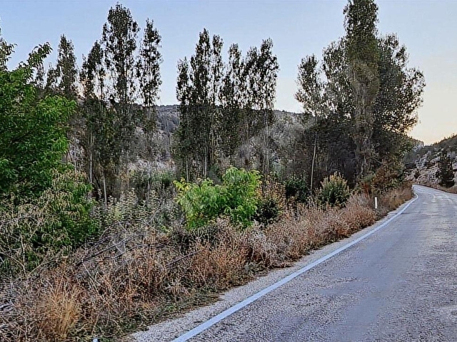 Başarakavakta Dere Kenarı 1120m2 Satılık Meyve Bahçesi - Görsel 17
