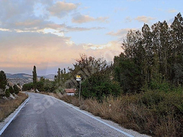 Başarakavakta Dere Kenarı 1120m2 Satılık Meyve Bahçesi - Görsel 20