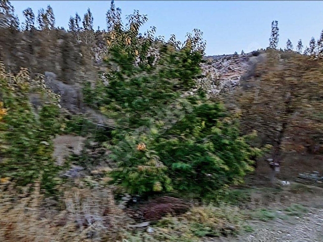 Başarakavakta Dere Kenarı 1120m2 Satılık Meyve Bahçesi - Görsel 29