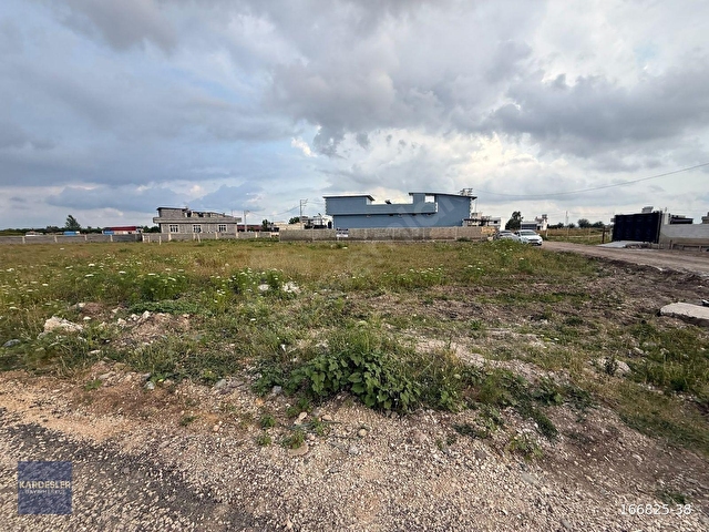 KOZA MAHALLESİ 300 METRE KELEPİR SATILIK ARSA - Görsel 4