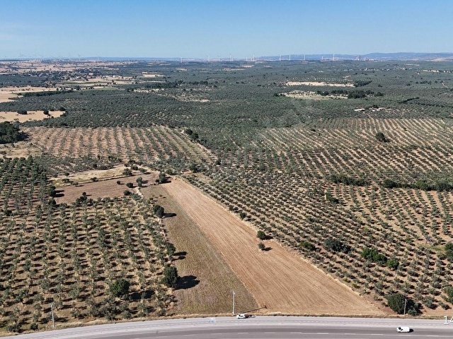Ezine Geyiklide Asfalt Yola Cepheli 7.916 m² Satılık Arazi - Görsel 30