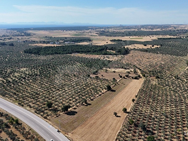 Ezine Geyiklide Asfalt Yola Cepheli 7.916 m² Satılık Arazi - Görsel 25