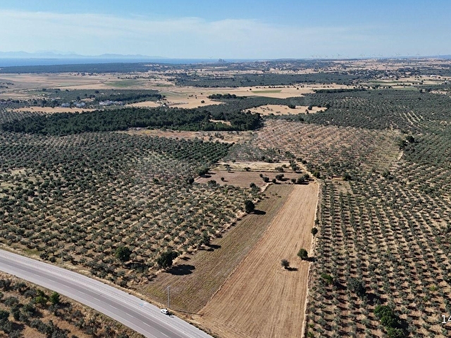 Ezine Geyiklide Asfalt Yola Cepheli 7.916 m² Satılık Arazi - Görsel 16